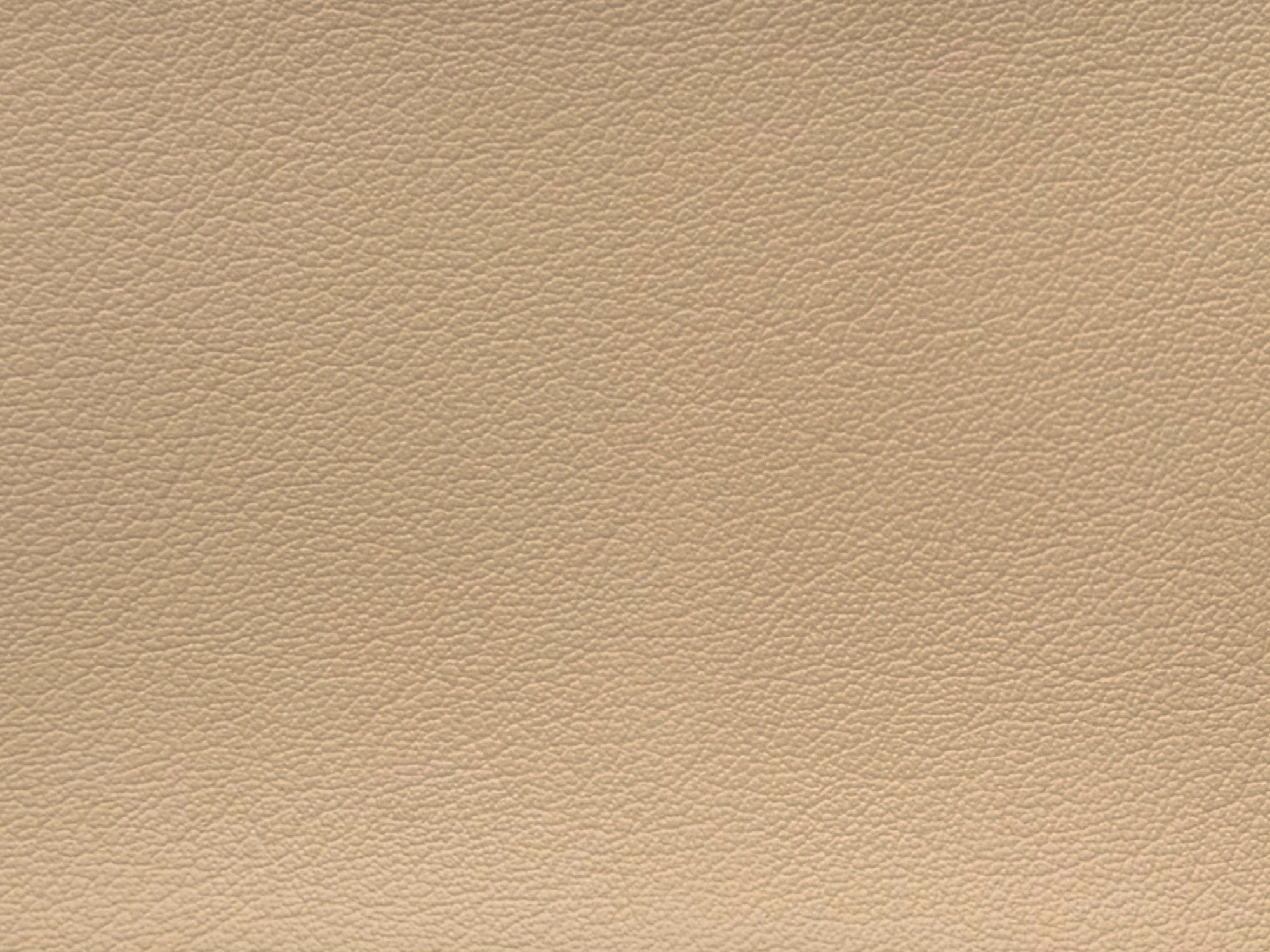 Samples - Lederlook